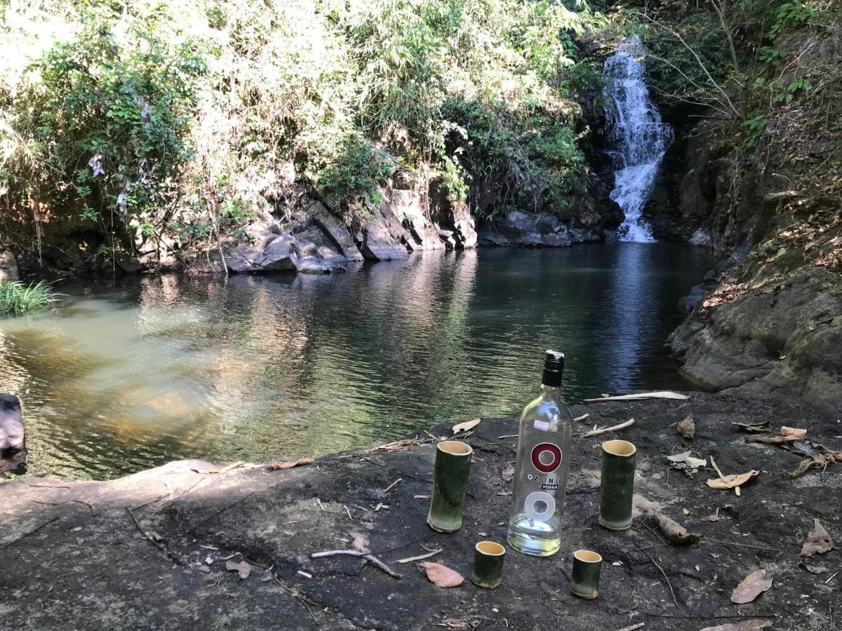 Happy & Trekking *